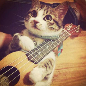 印度农村18HD69HD
